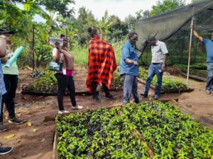🌱 From Struggle to Stability – Maria’s Journey to Climate-Smart Farming