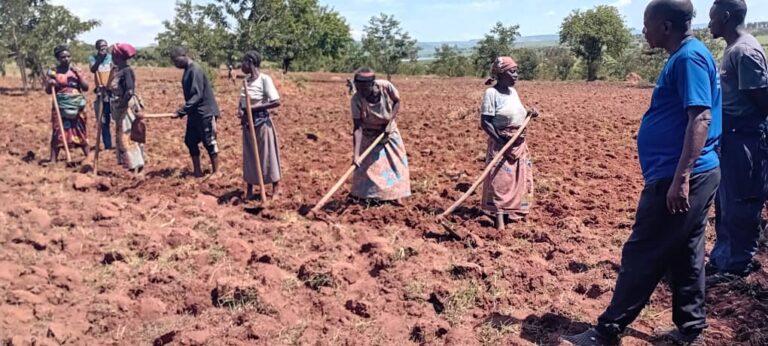 Our Work whatsapp image 2025 11 22 at 20.01.42