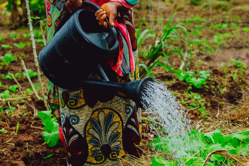 pexels peter 29124239