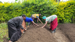 THRIVE+ Establishes a Communal Horticultural Nursery to Strengthen Household Nutrition and Incomes in Ibonde.
