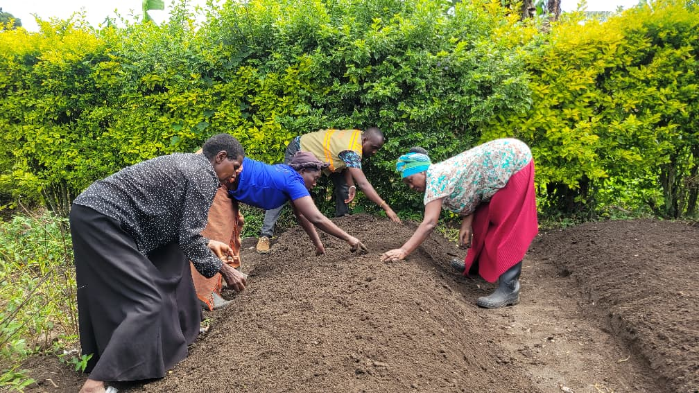 THRIVE+ Establishes a Communal Horticultural Nursery to Strengthen Household Nutrition and Incomes in Ibonde. 4ff90e94 8f72 4957 8383 a2f7462de1a8