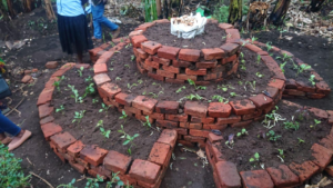 From Nursery to Garden: THRIVE+ Women Build a Brick Keyhole Garden in Ibonde.